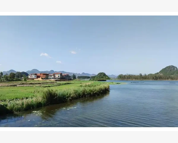 党参乌鸡红枣枸杞：调理脾胃虚弱的好帮手